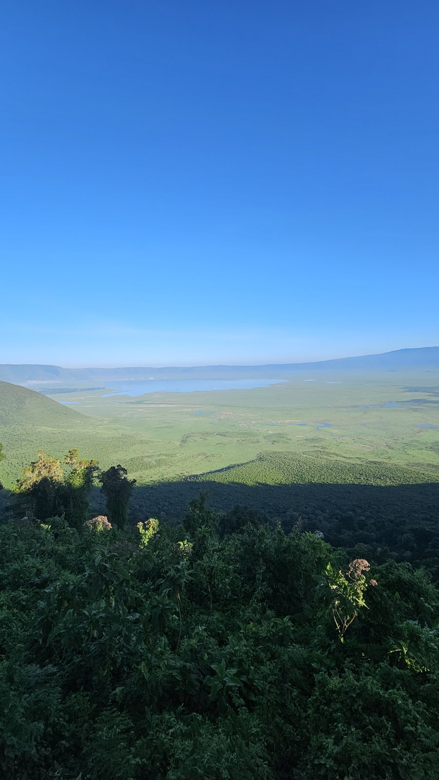 Panorama przed kolejnym dniem safari