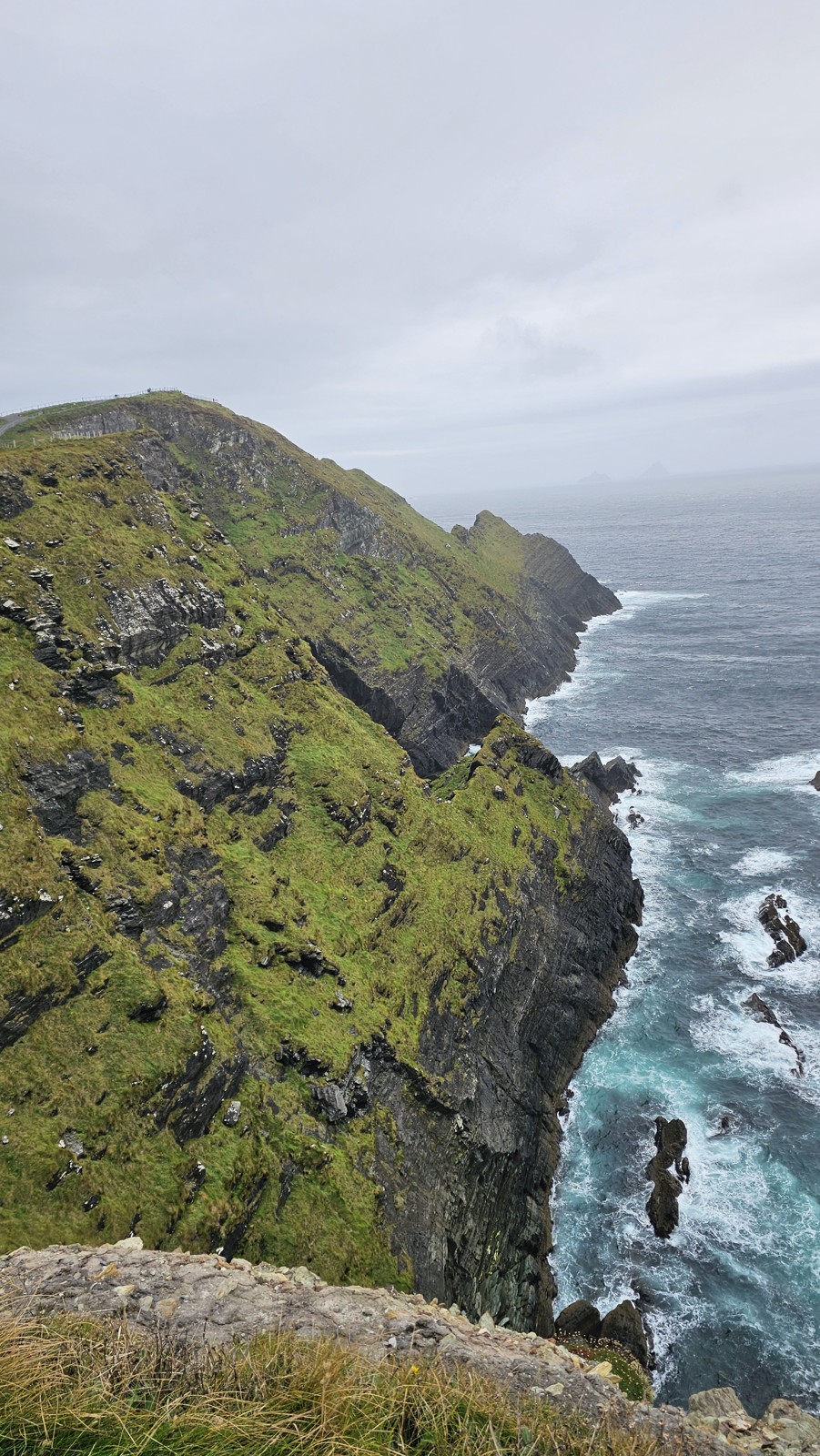 Strome zielone klify i fale oceanu
