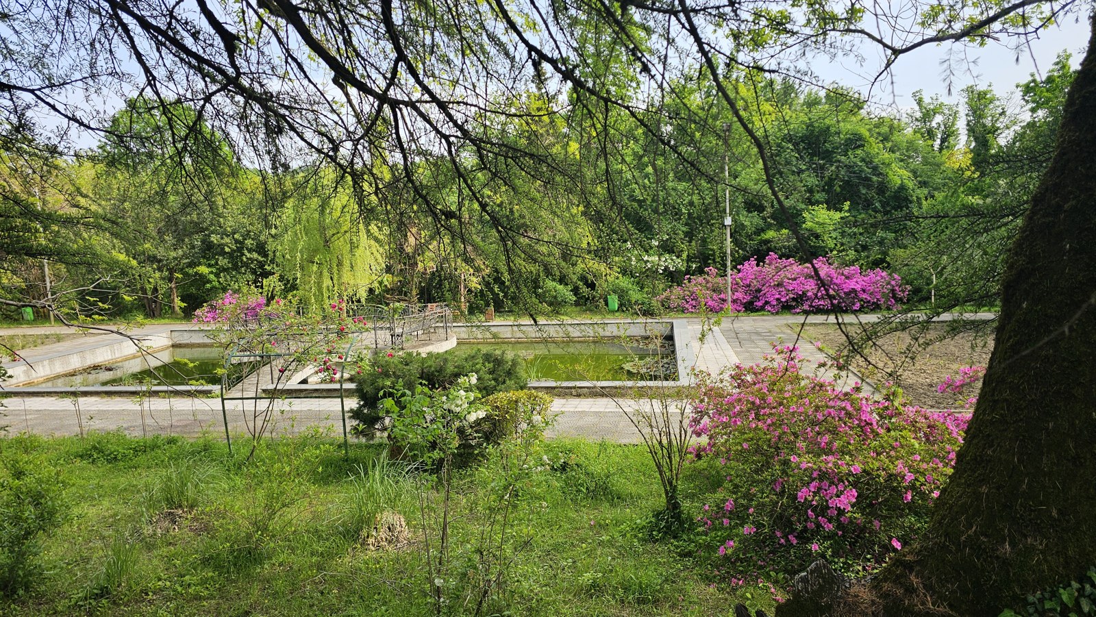 Zieleń ogrodu botanicznego