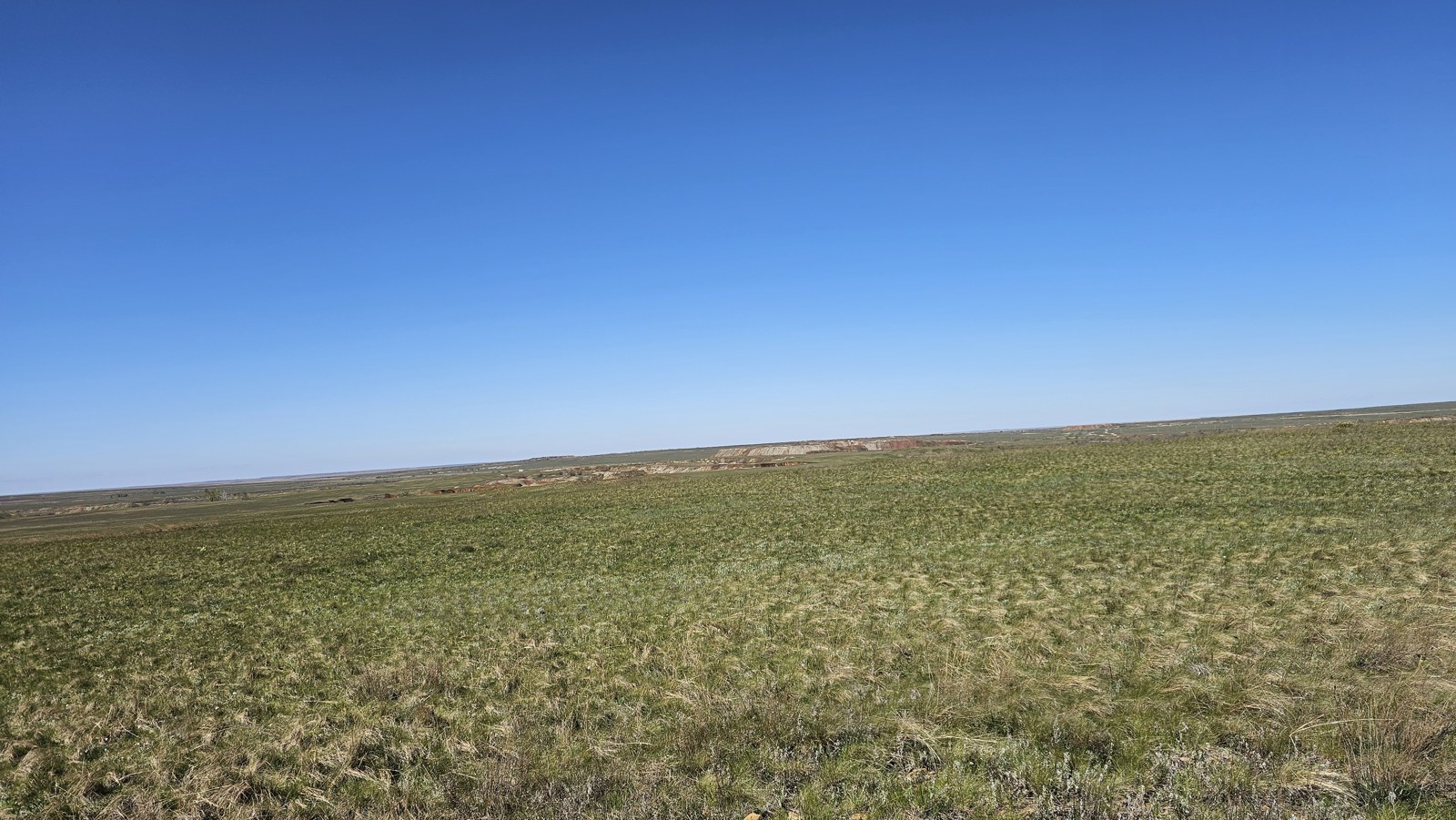 Otwarta panorama przy Jurmyszu